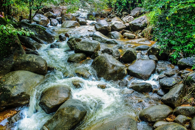 Phlio Chute d&#39;eau