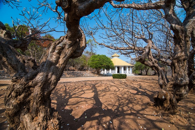 Phongsri Mansion présente la vie de personnes qui ont joué un rôle important sur l'île de Si Chang dans le passé dans la province de Chonburi, à l'est de la Thaïlande