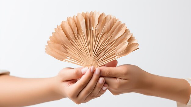 Une photo 3D d'un papier peint pliable en fan chinois