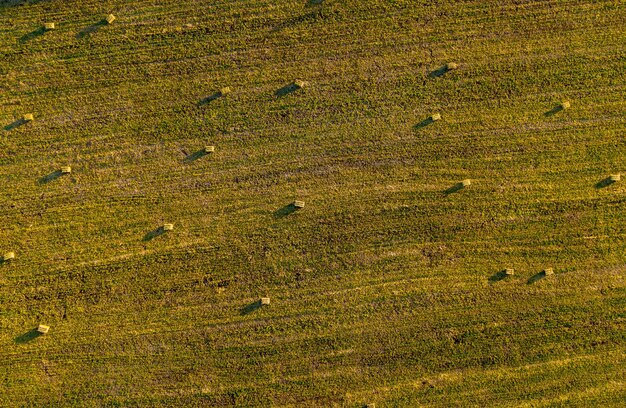 Photo photo aérienne de drone de balles de foin roulées dans le champ de blé à la fin de l'après-midi
