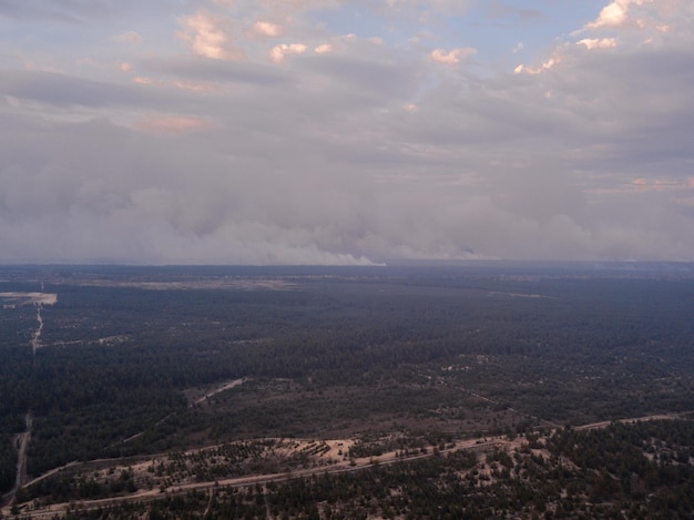 Photo aérienne avec drone de forêt brûlée après l'incendie