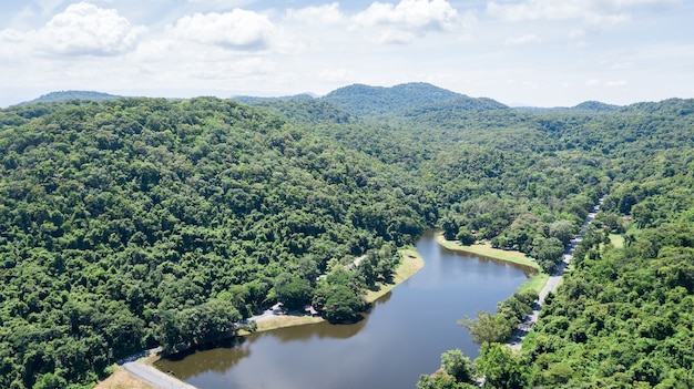 Photo photo aérienne de drone: forêt tropicale avec réservoir