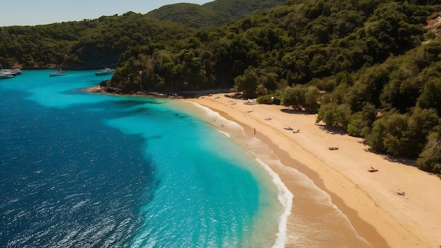 Photo une photo aérienne de la mer et de la forêt dans la baie de marmaris boncuk, en turquie