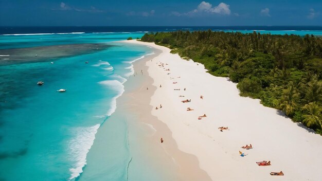 Photo une photo aérienne de la plage avec les vagues de la mer et la jungle des maldives