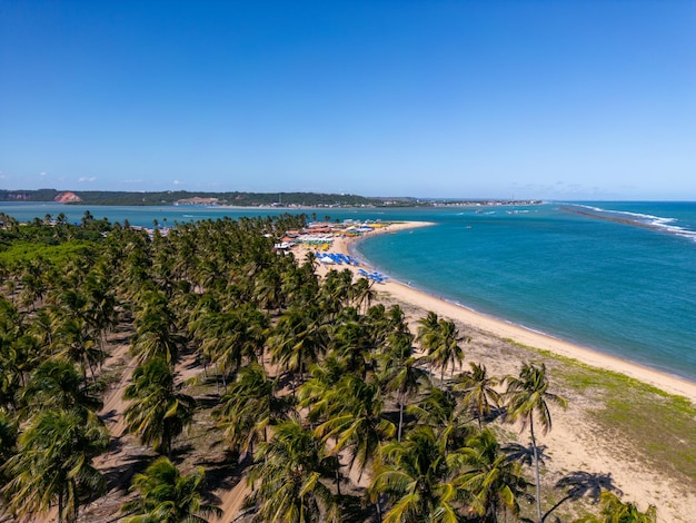 Photo aérienne de Praia Do Gunga dans le nord-est d'Alagoas au Brésil