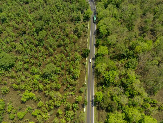 Photo une photo aérienne de la route entre les forêts du parc national de situbondo, à java orientale.