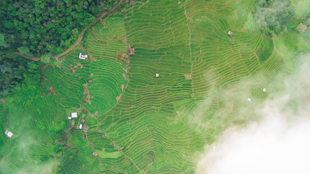 Photo aérienne vue de dessus du drone volant de la campagne de Chiang Mai