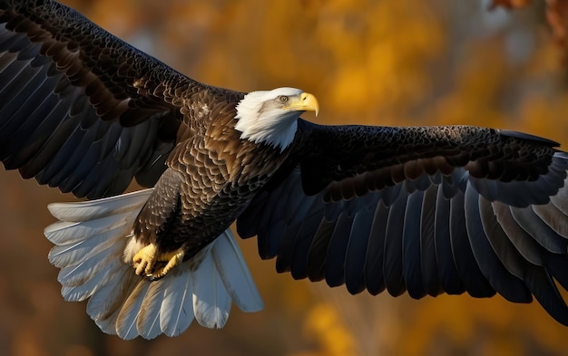 Photo une photo d'un aigle à l'envergure puissante