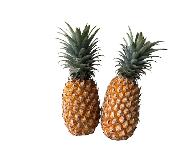 photo d'ananas sur un fond blanc coupé isolé