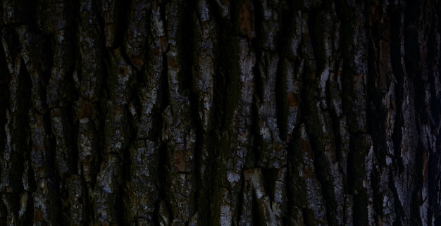 photo d'une ancienne surface en bois texturée naturelle