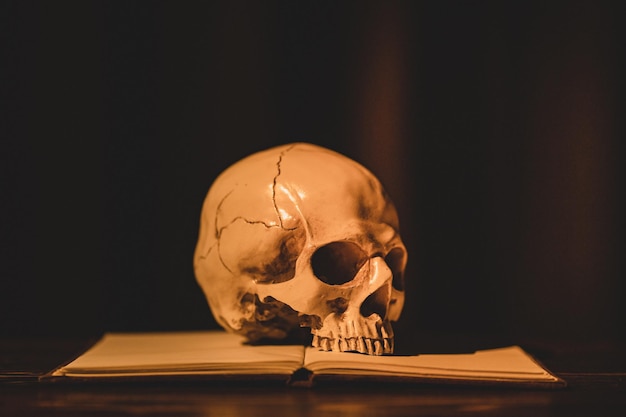 La photo d'art du modèle d'anatomie du crâne humain avec un livre ouvert L'idée de photographie d'horreur en gros plan