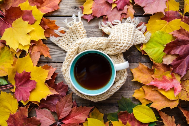 Photo d'automne avec une tasse de thé dans une écharpe en feuilles d'automne