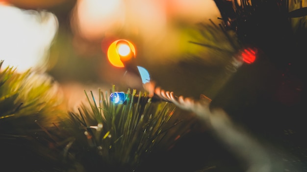 Photo aux tons macro d'ampoules colorées rougeoyantes sur la guirlande d'arbres de Noël