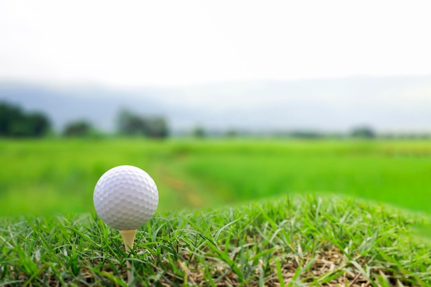 Une photo d'une balle de golf allongée sur l'herbe à côté du tee n'est pas prête à jouer