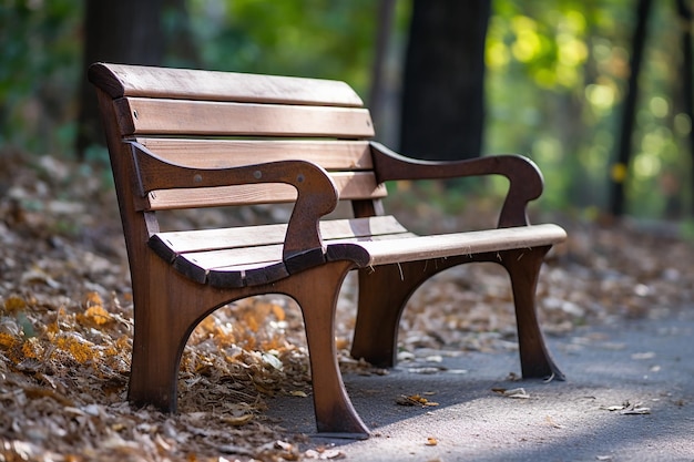 Photo une photo d'un banc dans un parc avec un banc d'arbres et d'herbe dans un jardin un jour ensoleillé à l'extérieur