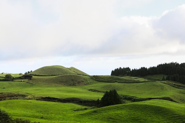 Photo photo avec une belle nature tropicale en été sur l'île de san miguel açores portugal