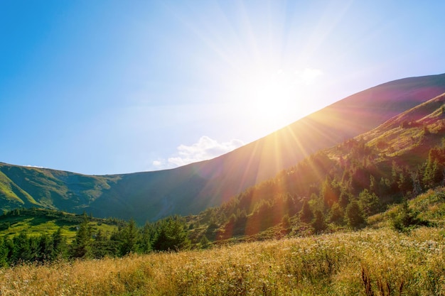 Photo de belles prairies vertes et collines au jour d'été dans les montagnes des Carpates au coucher du soleil