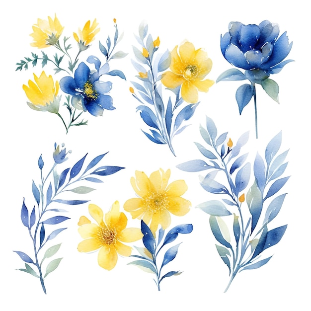 Photo bleu et jaune aquarelle floral sur fond blanc