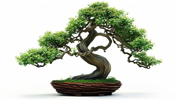 Une photo d'un bonsai dans un pot en arrière-plan isolé Une plante de bonsai parfaite générée par l'IA