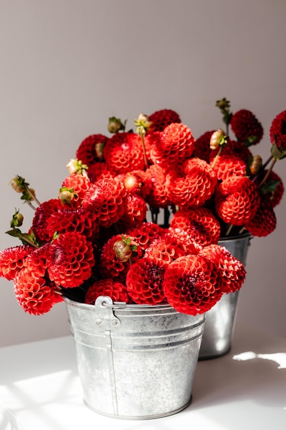 Photo d'un bouquet créé à partir de fleurs printanières fraîches sauvages photographiées sur fond blanc à la lumière du jour un seau en métal avec des fleurs