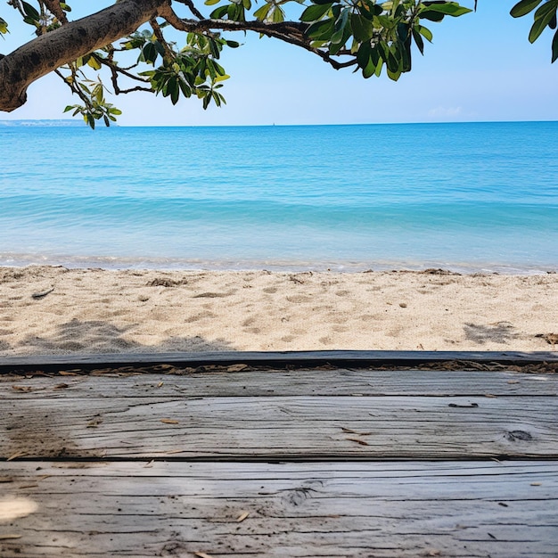 une photo brillante et belle prise le matin à la plage avec du contreplaqué plat couvrant le sol