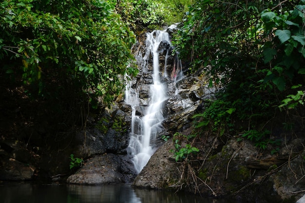 Photo de cascade dans la nature