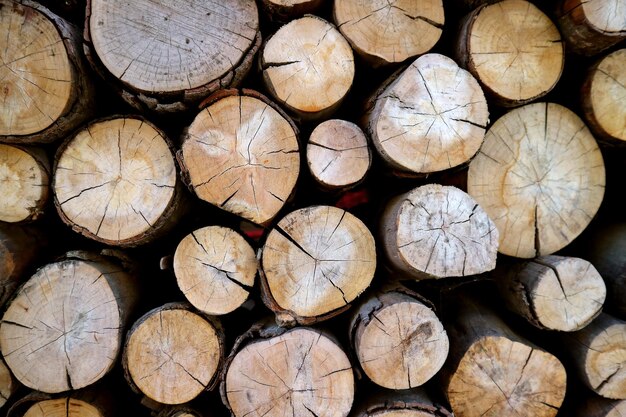 Photo une photo complète de bûches dans la forêt