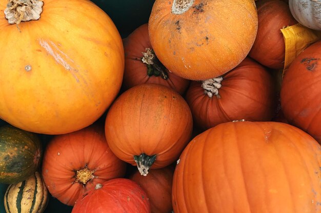 Photo complète de citrouilles au marché