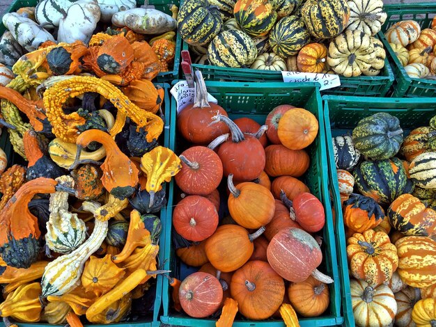 Photo une photo complète de citrouilles dans des caisses.