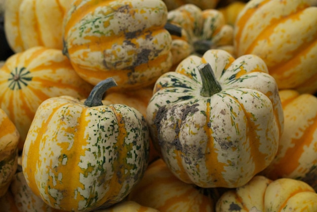 Photo une photo complète de citrouilles à vendre au marché.