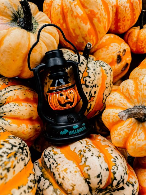 Photo une photo complète de citrouilles à vendre au marché.