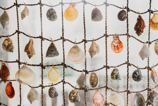 Une photo complète de la décoration des coquillages