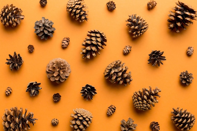 Photo une photo complète des décorations de noël sur fond blanc