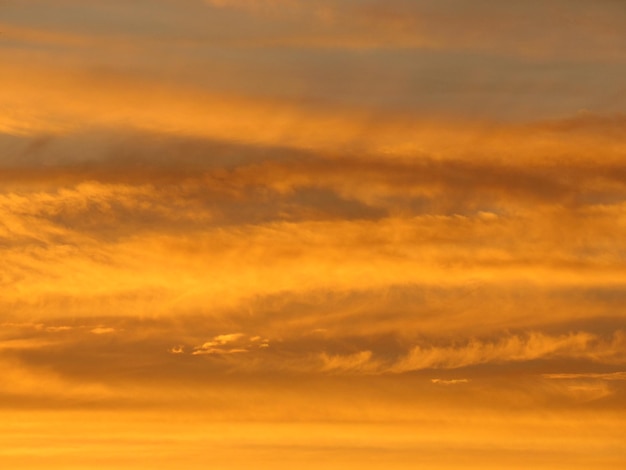 Une photo complète du ciel orange.
