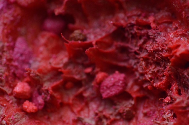 Une photo complète du produit de beauté rouge.