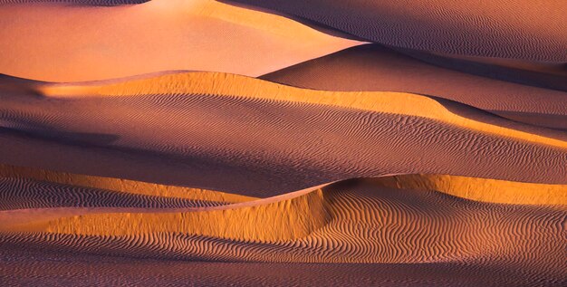 Une photo complète de la dune de sable