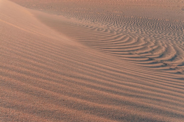 Une photo complète de la dune de sable