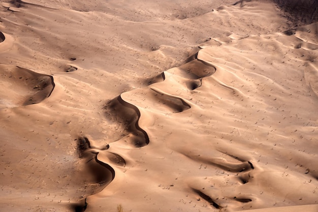 Une photo complète de la dune de sable