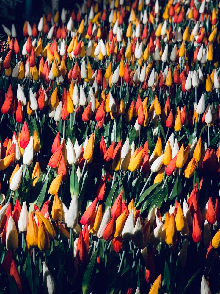 Photo une photo complète de fleurs colorées