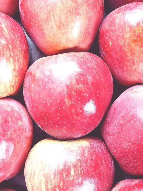 Une photo complète des fraises sur le marché