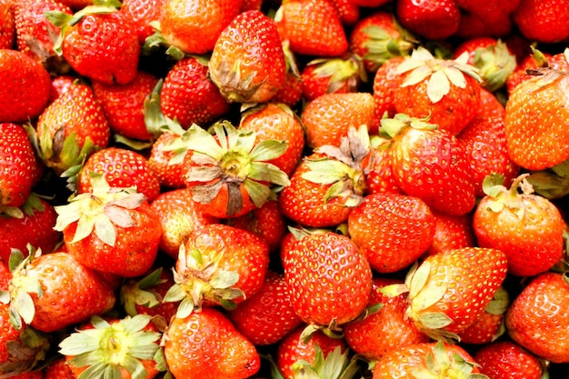 Une photo complète de fraises