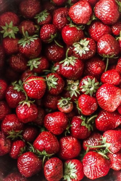 Une photo complète de fraises