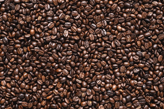 Une photo complète des grains de café.