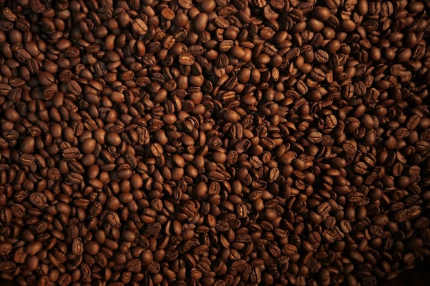 Une photo complète des grains de café.