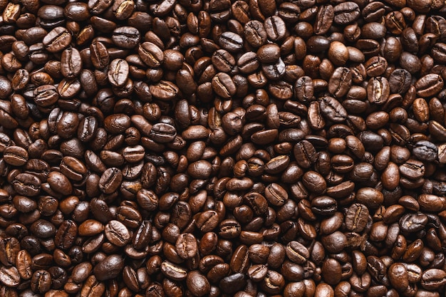 Une photo complète des grains de café.