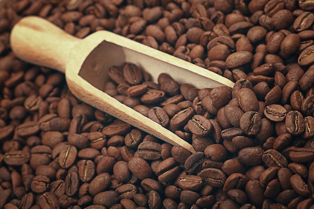 Une photo complète des grains de café.