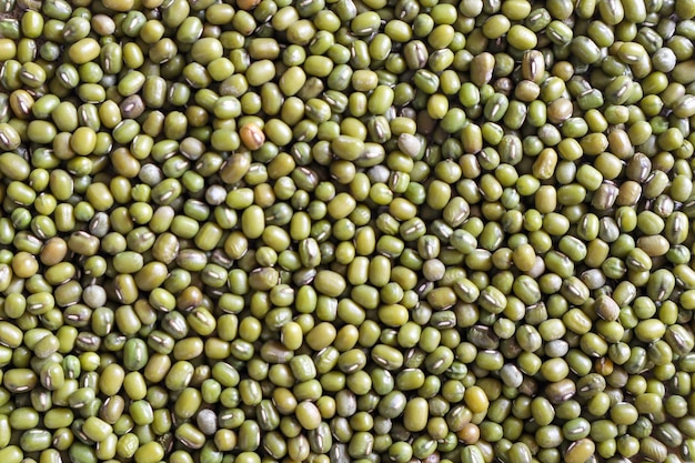 Une photo complète des haricots verts