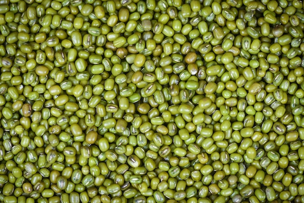 Une photo complète des haricots verts