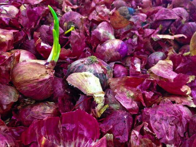 Une photo complète d'oignons à vendre au marché.