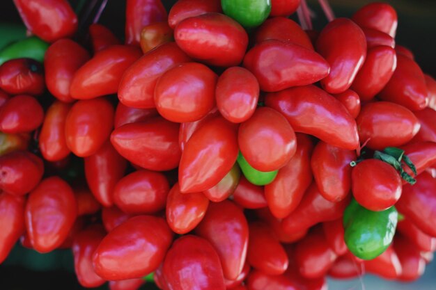 Photo une photo complète des piments rouges.
